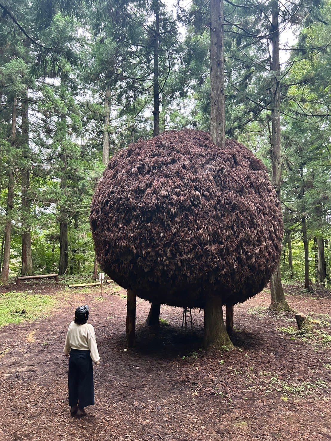 サークル画像 4
